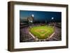 Panoramic view of 29,183 baseball fans at Citizens Bank Park, Philadelphia, PA, who are watching...-null-Framed Photographic Print