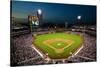 Panoramic view of 29,183 baseball fans at Citizens Bank Park, Philadelphia, PA, who are watching...-null-Stretched Canvas