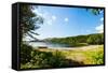 Panoramic View of A Lake with Boat from A Forest in Northern Norway-Lamarinx-Framed Stretched Canvas