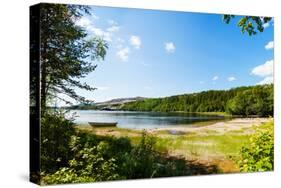Panoramic View of A Lake with Boat from A Forest in Northern Norway-Lamarinx-Stretched Canvas