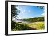 Panoramic View of A Lake with Boat from A Forest in Northern Norway-Lamarinx-Framed Photographic Print