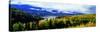 Panoramic View of a Landscape, Yukon River, Alaska, USA-null-Stretched Canvas