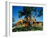 Panoramic View of a Log Cabin on a Hill-null-Framed Photographic Print