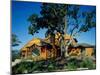 Panoramic View of a Log Cabin on a Hill-null-Mounted Photographic Print