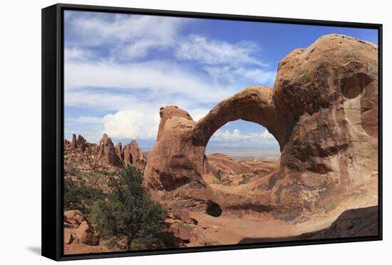 Panoramic View of Arches in Arches National Park, Utah, USA-Mark Taylor-Framed Stretched Canvas