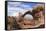 Panoramic View of Arches in Arches National Park, Utah, USA-Mark Taylor-Framed Stretched Canvas