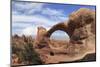 Panoramic View of Arches in Arches National Park, Utah, USA-Mark Taylor-Mounted Photographic Print
