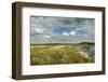 Panoramic View of Ballynahone Bog at Dawn, County Antrim, Northern Ireland, UK, June 2011-Ben Hall-Framed Photographic Print