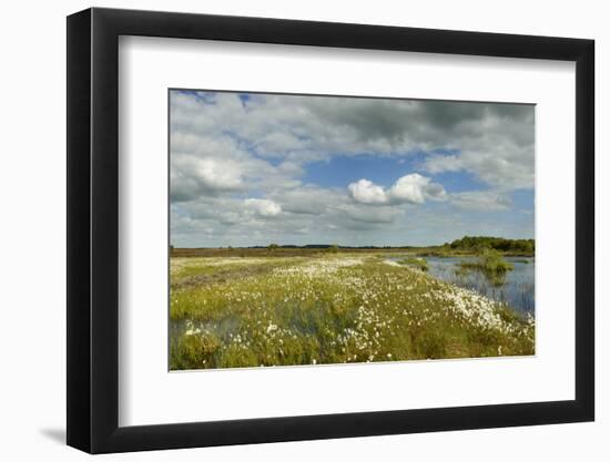 Panoramic View of Ballynahone Bog at Dawn, County Antrim, Northern Ireland, UK, June 2011-Ben Hall-Framed Photographic Print