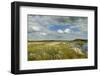 Panoramic View of Ballynahone Bog at Dawn, County Antrim, Northern Ireland, UK, June 2011-Ben Hall-Framed Photographic Print