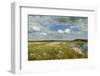 Panoramic View of Ballynahone Bog at Dawn, County Antrim, Northern Ireland, UK, June 2011-Ben Hall-Framed Photographic Print