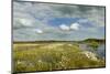 Panoramic View of Ballynahone Bog at Dawn, County Antrim, Northern Ireland, UK, June 2011-Ben Hall-Mounted Photographic Print