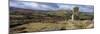 Panoramic view of Bowerman's Nose granite rock formation, near Manaton, Dartmoor National Park-Stuart Black-Mounted Photographic Print