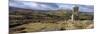 Panoramic view of Bowerman's Nose granite rock formation, near Manaton, Dartmoor National Park-Stuart Black-Mounted Photographic Print