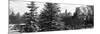 Panoramic View of Central Park with a Squirrel running around on the Snow-Philippe Hugonnard-Mounted Photographic Print