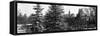 Panoramic View of Central Park with a Squirrel running around on the Snow-Philippe Hugonnard-Framed Stretched Canvas
