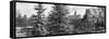 Panoramic View of Central Park with a Squirrel running around on the Snow-Philippe Hugonnard-Framed Stretched Canvas