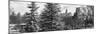 Panoramic View of Central Park with a Squirrel running around on the Snow-Philippe Hugonnard-Mounted Photographic Print