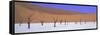 Panoramic View of Dead Trees and Orange Sand Dunes, Dead Vlei, Namib Desert, Namibia, Africa-Lee Frost-Framed Stretched Canvas