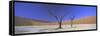 Panoramic View of Dead Trees and Orange Sand Dunes, Dead Vlei, Namib Desert, Namibia, Africa-Lee Frost-Framed Stretched Canvas