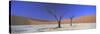 Panoramic View of Dead Trees and Orange Sand Dunes, Dead Vlei, Namib Desert, Namibia, Africa-Lee Frost-Stretched Canvas