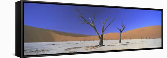 Panoramic View of Dead Trees and Orange Sand Dunes, Dead Vlei, Namib Desert, Namibia, Africa-Lee Frost-Framed Stretched Canvas