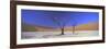 Panoramic View of Dead Trees and Orange Sand Dunes, Dead Vlei, Namib Desert, Namibia, Africa-Lee Frost-Framed Photographic Print