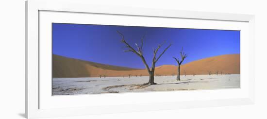 Panoramic View of Dead Trees and Orange Sand Dunes, Dead Vlei, Namib Desert, Namibia, Africa-Lee Frost-Framed Photographic Print