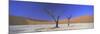 Panoramic View of Dead Trees and Orange Sand Dunes, Dead Vlei, Namib Desert, Namibia, Africa-Lee Frost-Mounted Photographic Print