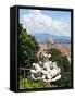 Panoramic View of Florence from Bardini Garden, Florence, UNESCO World Heritage Site, Italy-Nico Tondini-Framed Stretched Canvas