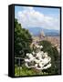 Panoramic View of Florence from Bardini Garden, Florence, UNESCO World Heritage Site, Italy-Nico Tondini-Framed Stretched Canvas