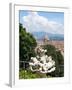 Panoramic View of Florence from Bardini Garden, Florence, UNESCO World Heritage Site, Italy-Nico Tondini-Framed Premium Photographic Print