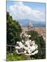 Panoramic View of Florence from Bardini Garden, Florence, UNESCO World Heritage Site, Italy-Nico Tondini-Mounted Premium Photographic Print