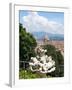 Panoramic View of Florence from Bardini Garden, Florence, UNESCO World Heritage Site, Italy-Nico Tondini-Framed Photographic Print