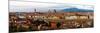 Panoramic view of Florence-Vadim Ratsenskiy-Mounted Art Print
