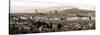 Panoramic View Of Florence-Vadim Ratsenskiy-Stretched Canvas