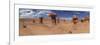 Panoramic View of Goblin Rocks at Goblin Valley State Park, Utah, USA-Mark Taylor-Framed Photographic Print