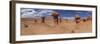 Panoramic View of Goblin Rocks at Goblin Valley State Park, Utah, USA-Mark Taylor-Framed Photographic Print