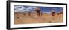 Panoramic View of Goblin Rocks at Goblin Valley State Park, Utah, USA-Mark Taylor-Framed Photographic Print