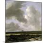 Panoramic View of Haarlem, C.1670-Jacob Isaaksz. Or Isaacksz. Van Ruisdael-Mounted Giclee Print