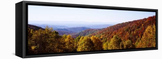 Panoramic view of hilly area covered by forest, Blue Ridge Parkway, North Carolina, USA-Panoramic Images-Framed Stretched Canvas