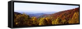 Panoramic view of hilly area covered by forest, Blue Ridge Parkway, North Carolina, USA-Panoramic Images-Framed Stretched Canvas