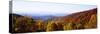 Panoramic view of hilly area covered by forest, Blue Ridge Parkway, North Carolina, USA-Panoramic Images-Stretched Canvas