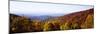 Panoramic view of hilly area covered by forest, Blue Ridge Parkway, North Carolina, USA-Panoramic Images-Mounted Photographic Print