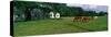 Panoramic View of Horses Grazing in Springtime Field, Eastern Shore, Md-null-Stretched Canvas