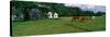 Panoramic View of Horses Grazing in Springtime Field, Eastern Shore, Md-null-Stretched Canvas