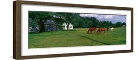 Panoramic View of Horses Grazing in Springtime Field, Eastern Shore, Md-null-Framed Photographic Print