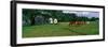 Panoramic View of Horses Grazing in Springtime Field, Eastern Shore, Md-null-Framed Photographic Print