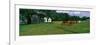 Panoramic View of Horses Grazing in Springtime Field, Eastern Shore, Md-null-Framed Photographic Print