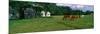 Panoramic View of Horses Grazing in Springtime Field, Eastern Shore, Md-null-Mounted Photographic Print